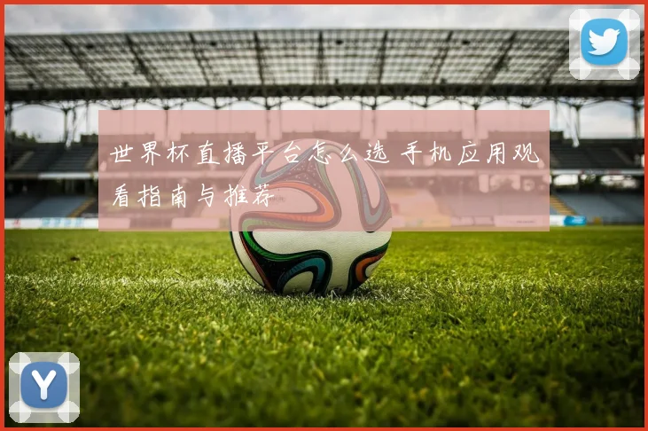 世界杯直播平台怎么选 手机应用观看指南与推荐