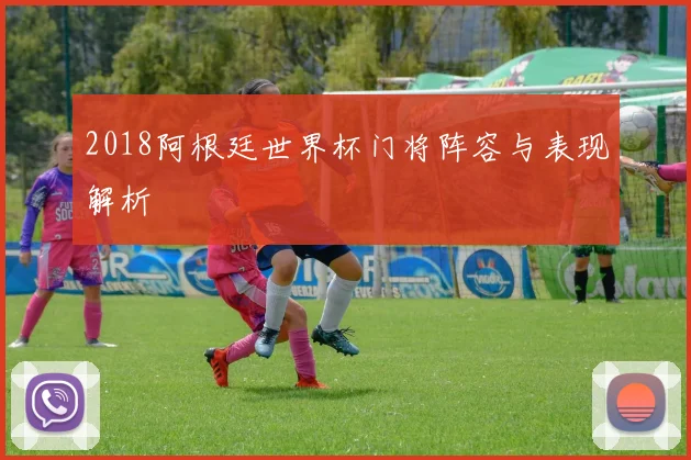 2018阿根廷世界杯门将阵容与表现解析