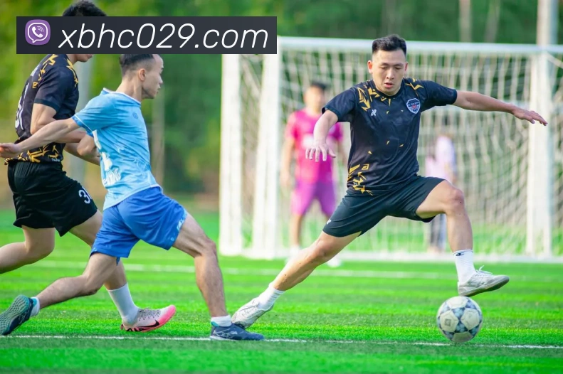 2021世界杯官网平台生态图