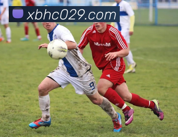 辅助工具 辅助工具